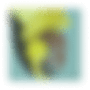 SAVAGE DESIGN CO. - A GLOBAL CREATIVE COMPANY (Web Design, SEO, Creative Services, Shopify) Located on the Central Coast & Sydney